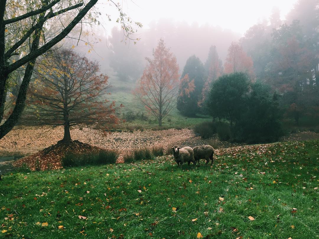 jtilb instagram image archive image