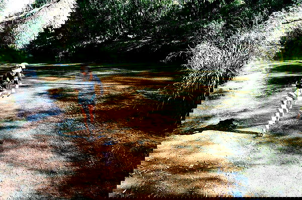 jtilb image ~ Altpins