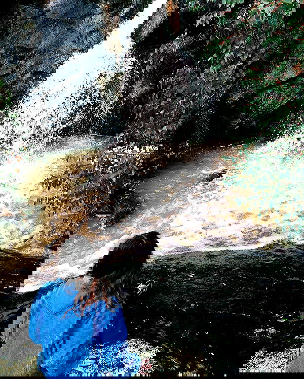 jtilb image ~ Altpins