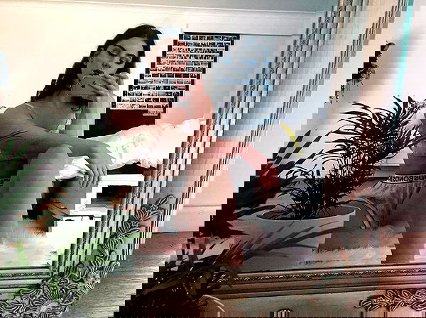 jtilb image ~ Altpins