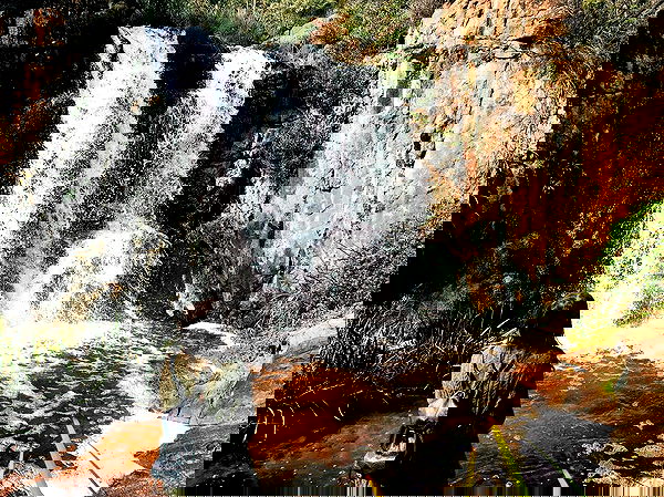 jtilb image ~ Altpins