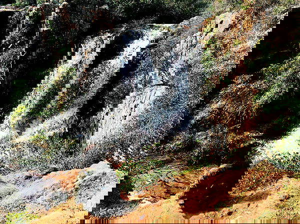 jtilb image ~ Altpins