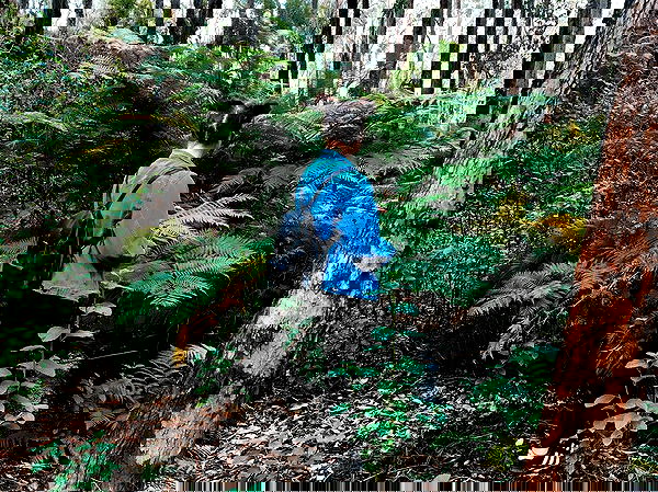 jtilb image ~ Altpins