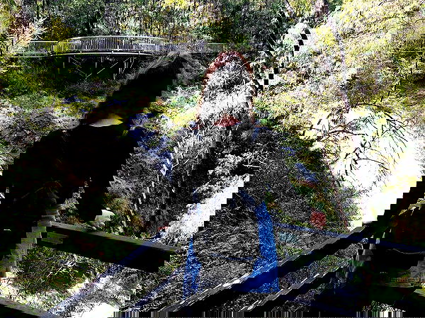 jtilb image ~ Altpins