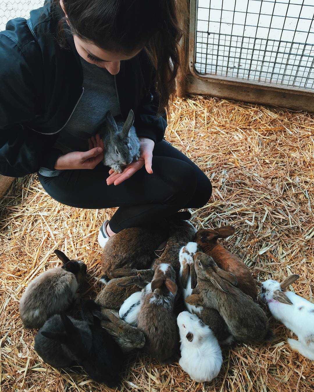 jtilb instagram image archive image