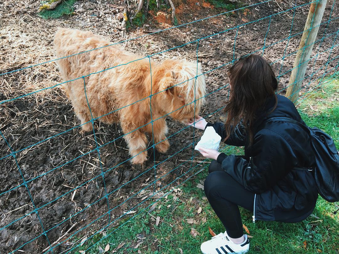 jtilb instagram image archive image