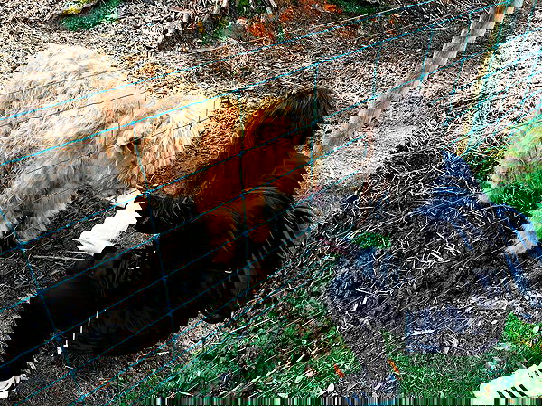 jtilb image ~ Altpins