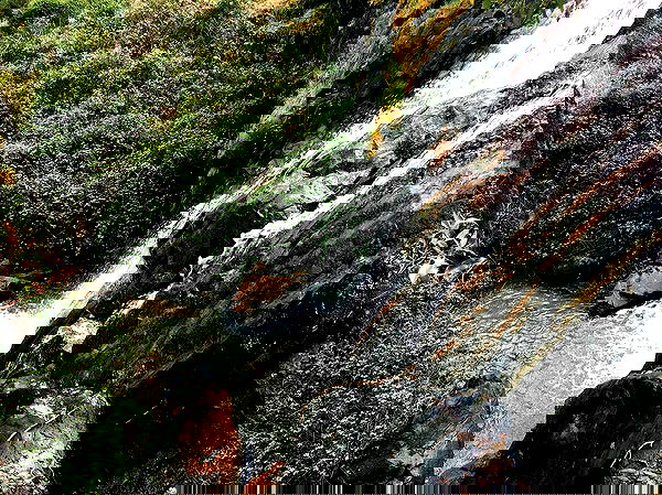 jtilb image ~ Altpins