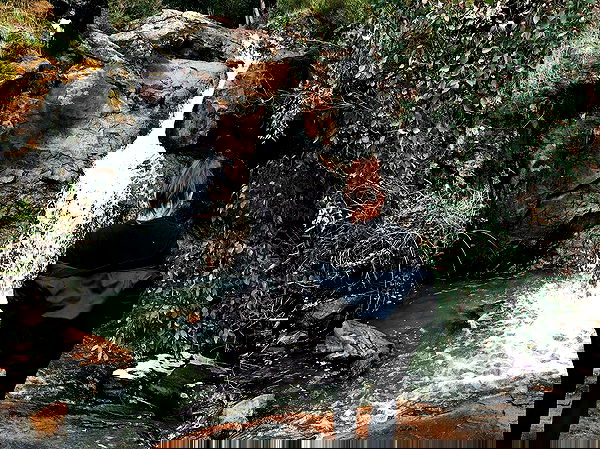 jtilb image ~ Altpins