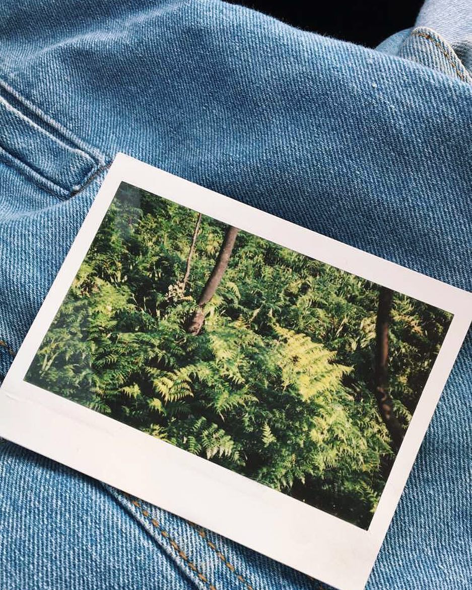 jtilb instagram image archive image