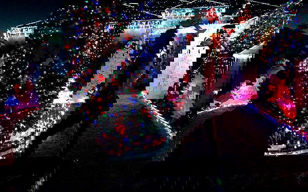 jtilb image ~ Altpins