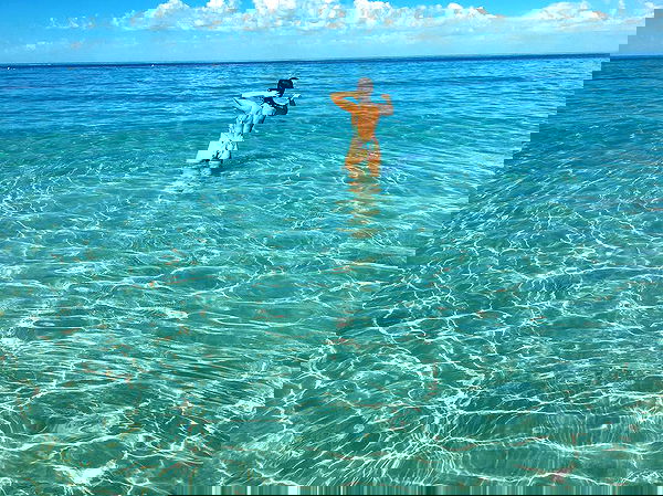 jtilb image ~ Altpins