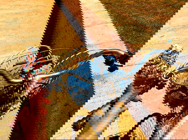 jtilb image ~ Altpins