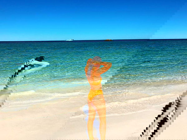 jtilb image ~ Altpins