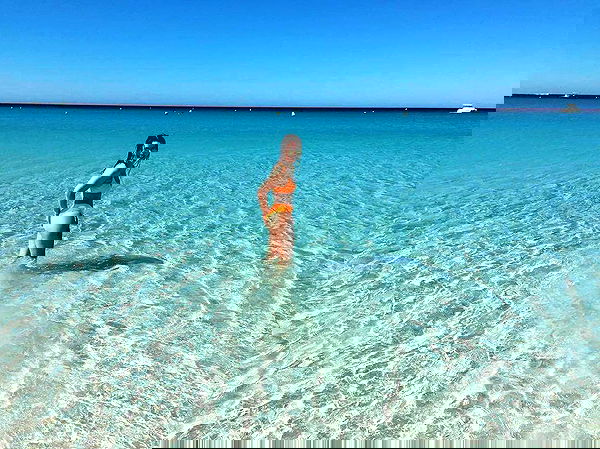 jtilb image ~ Altpins