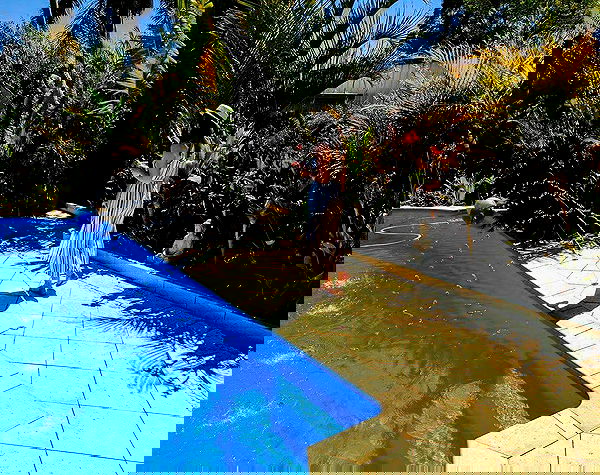 jtilb image ~ Altpins