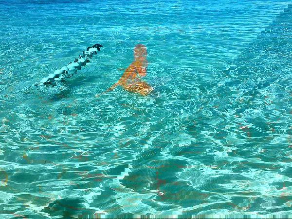 jtilb image ~ Altpins