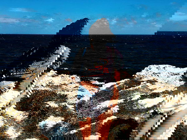 jtilb image ~ Altpins