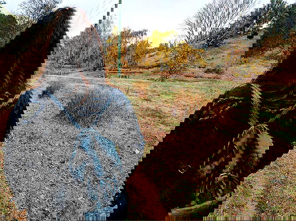 jtilb image ~ Altpins