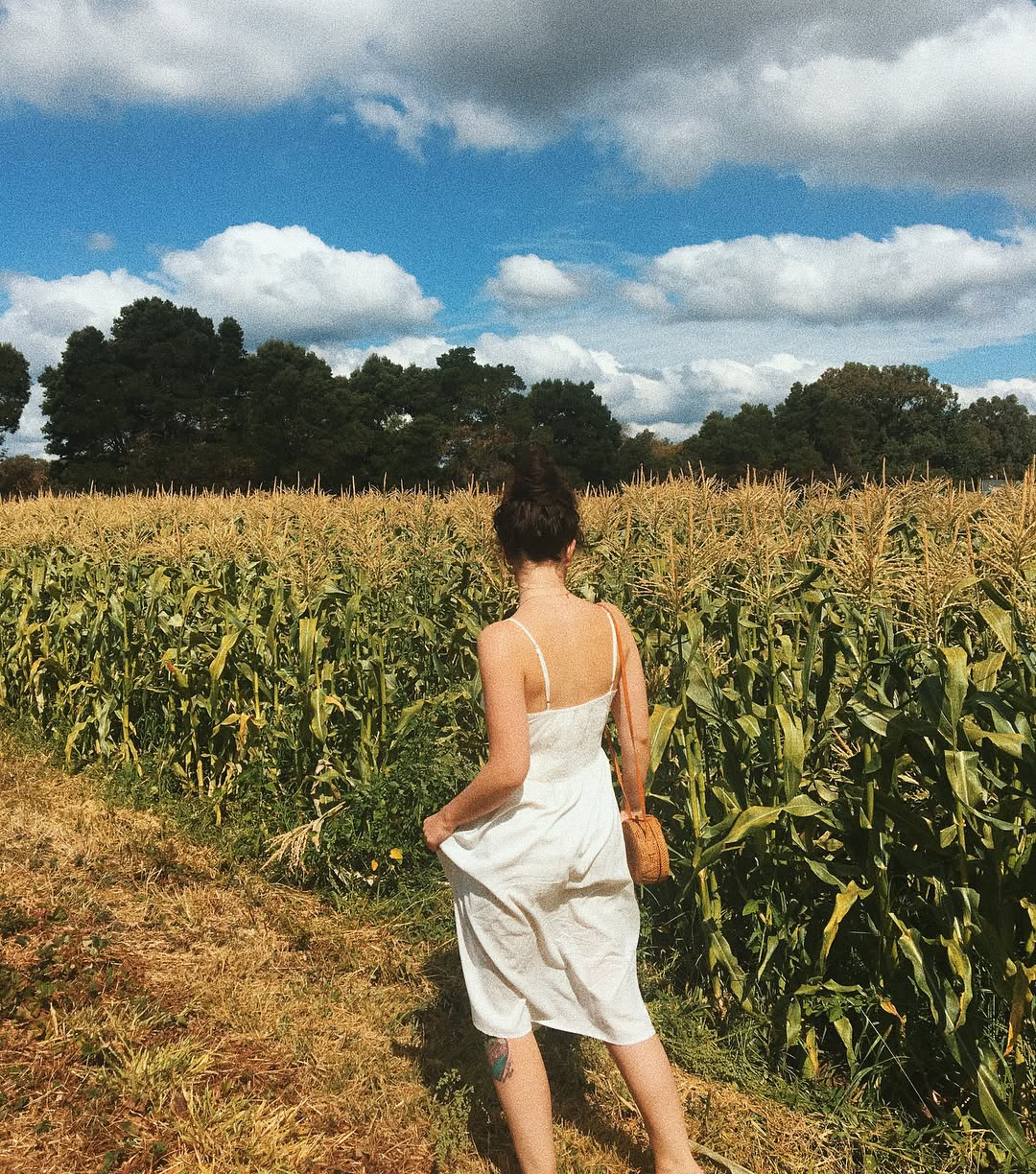 jtilb instagram image archive image