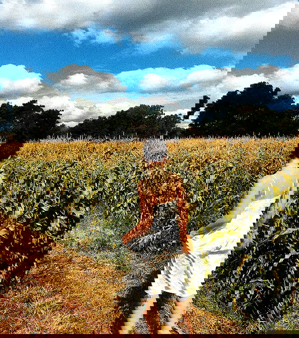 jtilb image ~ Altpins