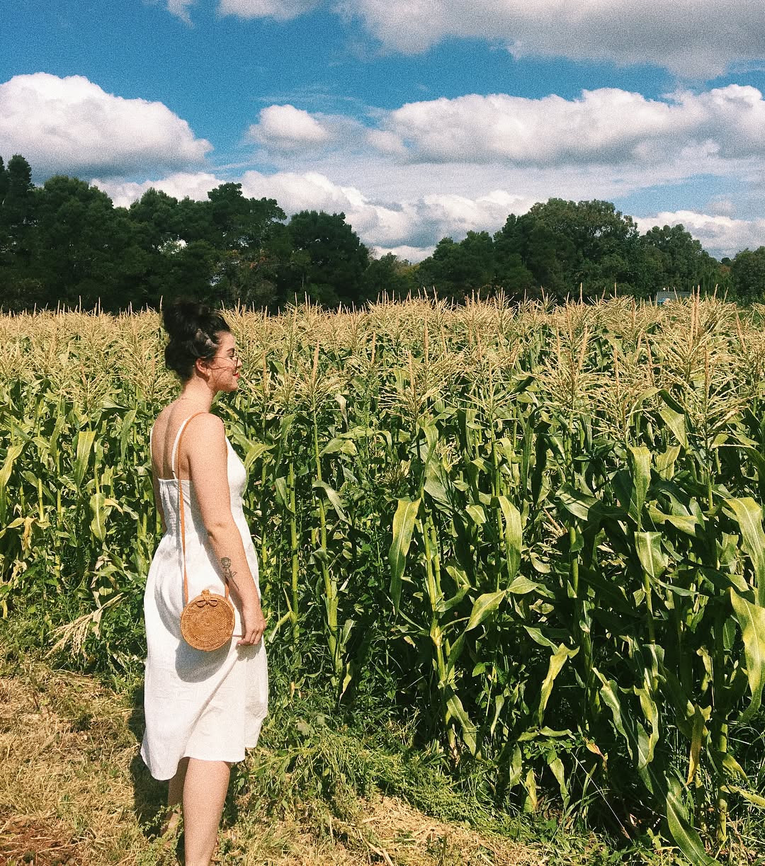 jtilb instagram image archive image