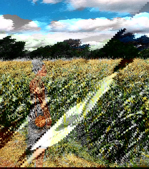 jtilb image ~ Altpins