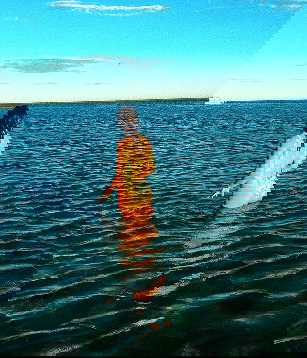 jtilb image ~ Altpins