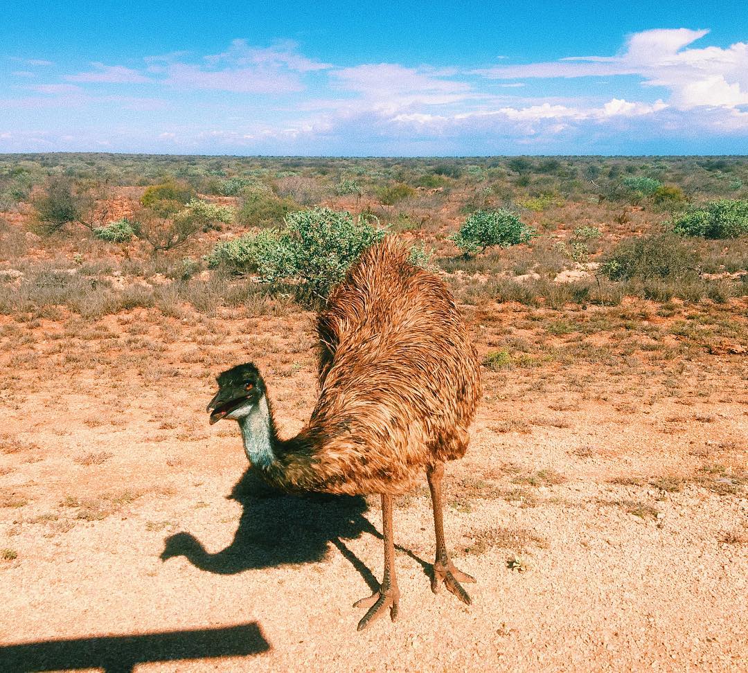 jtilb instagram image archive image