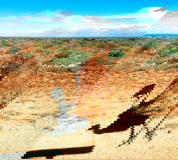 jtilb image ~ Altpins