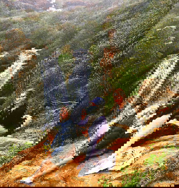 jtilb image ~ Altpins