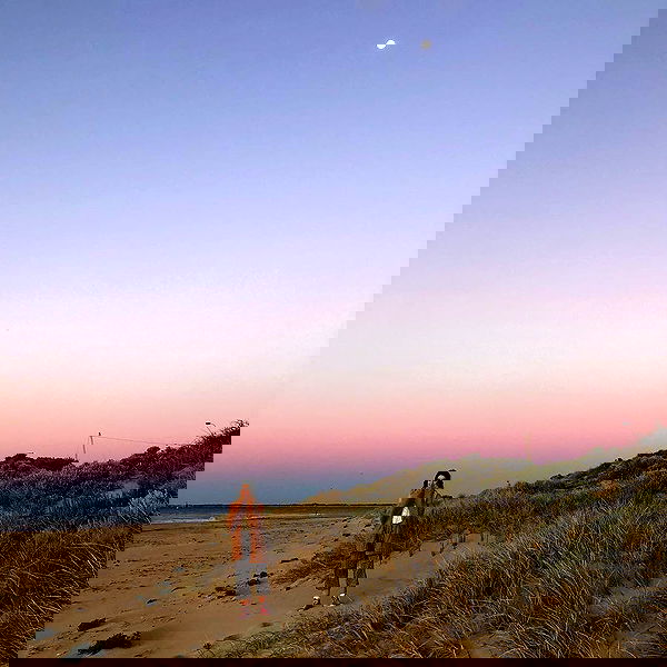 jtilb image ~ Altpins