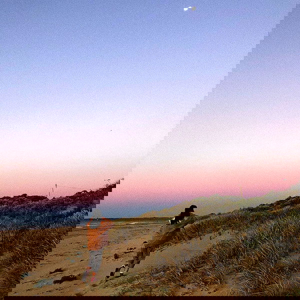 jtilb image ~ Altpins