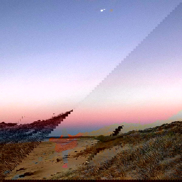 jtilb image ~ Altpins