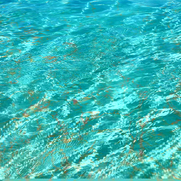 jtilb image ~ Altpins