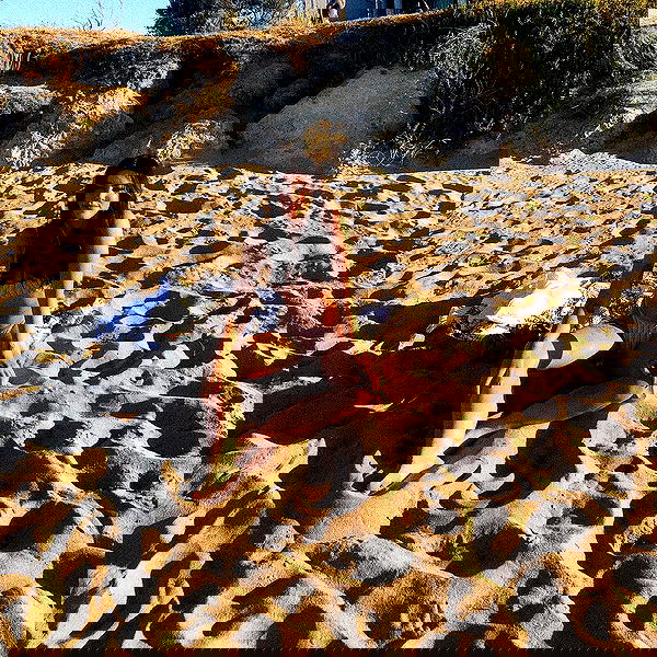 jtilb image ~ Altpins