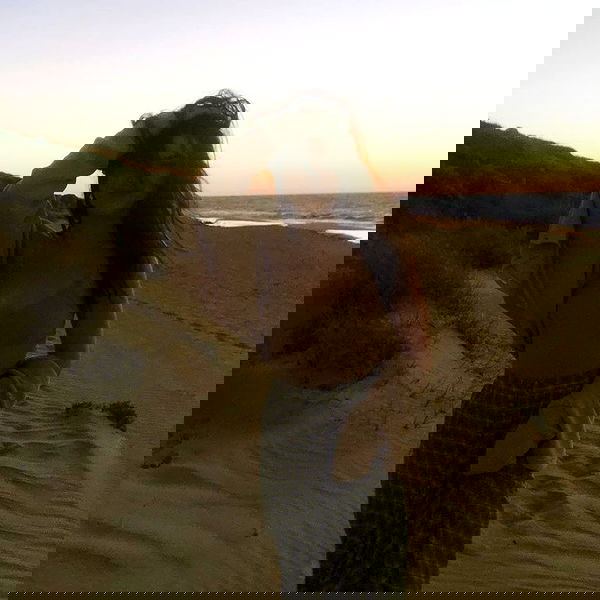 jtilb image ~ Altpins