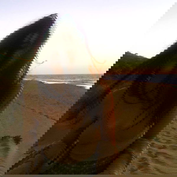 jtilb image ~ Altpins