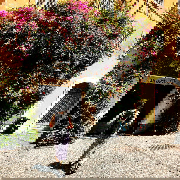 jtilb image ~ Altpins