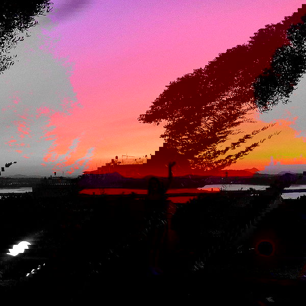 jtilb image ~ Altpins