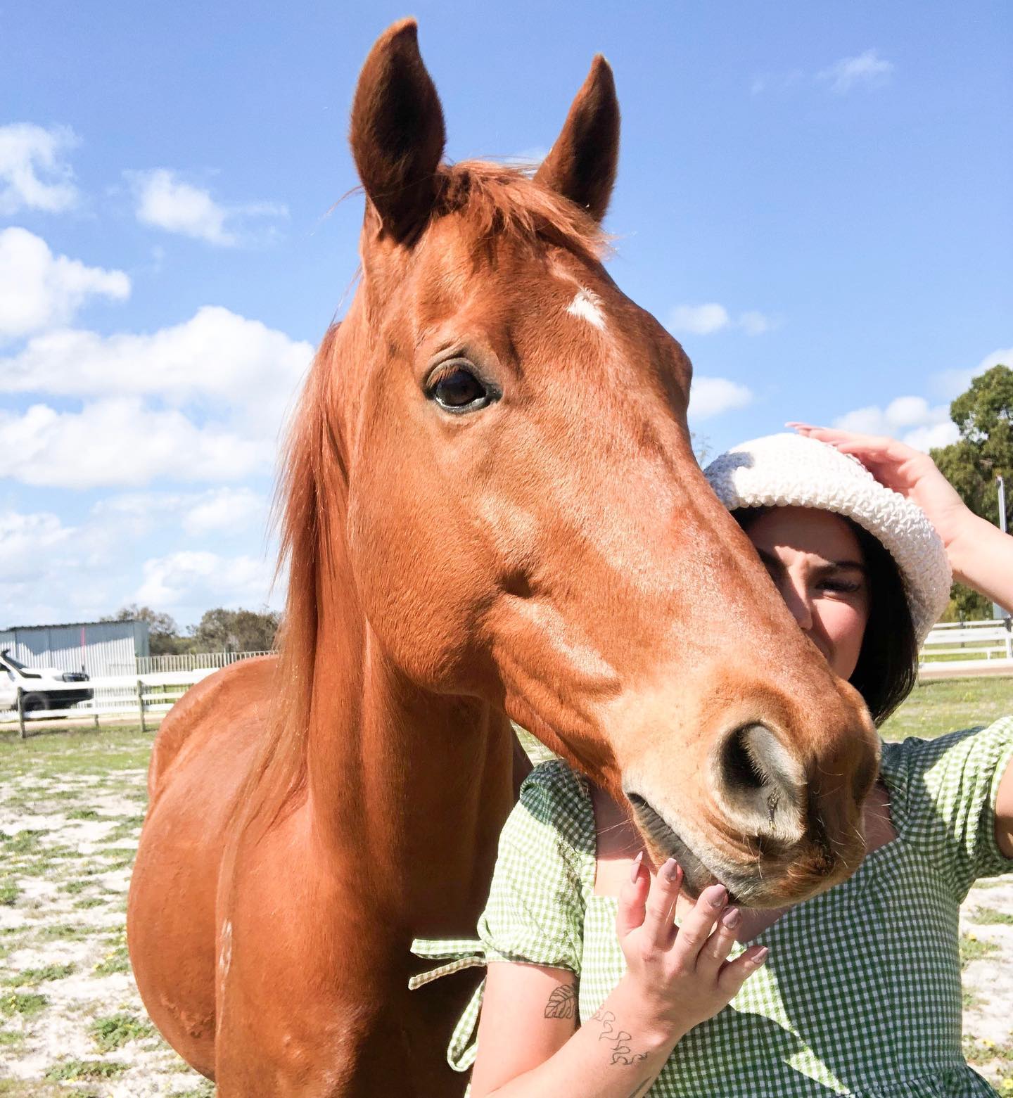 jtilb instagram image archive image