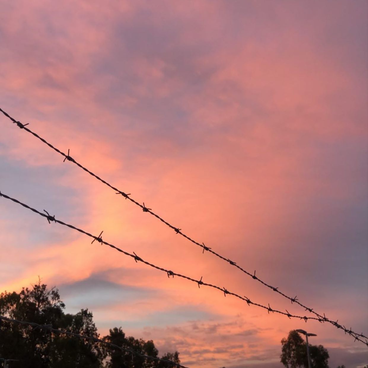 jtilb instagram image archive image