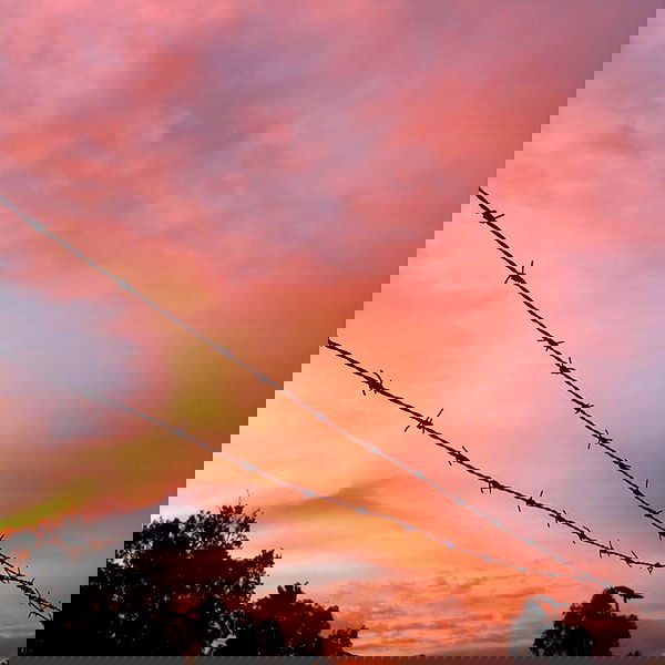 jtilb image ~ Altpins