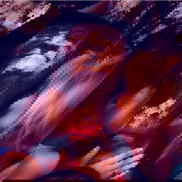 jtilb image ~ Altpins