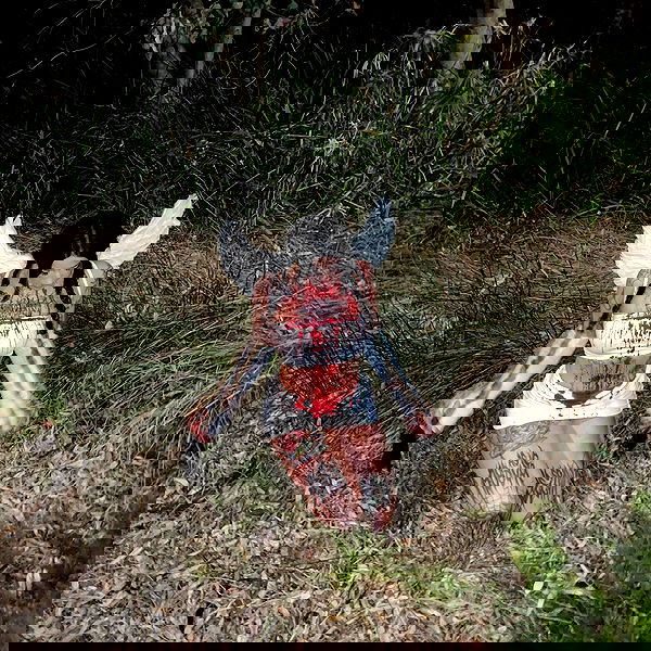 jtilb image ~ Altpins