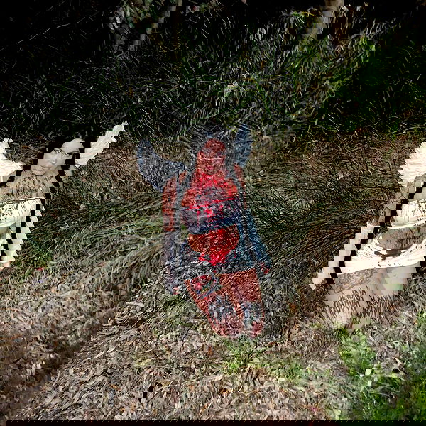 jtilb image ~ Altpins