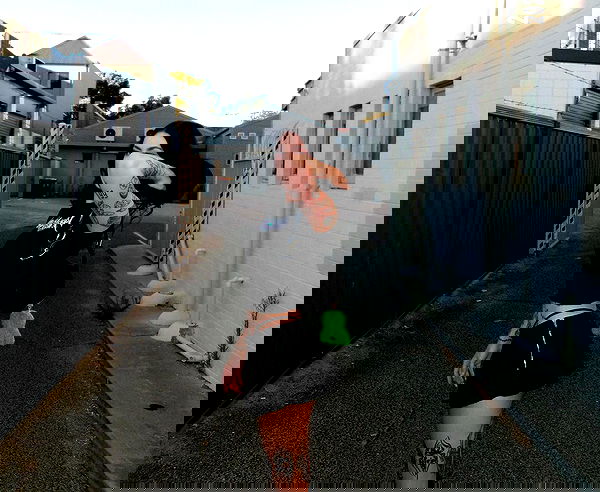 jtilb image ~ Altpins