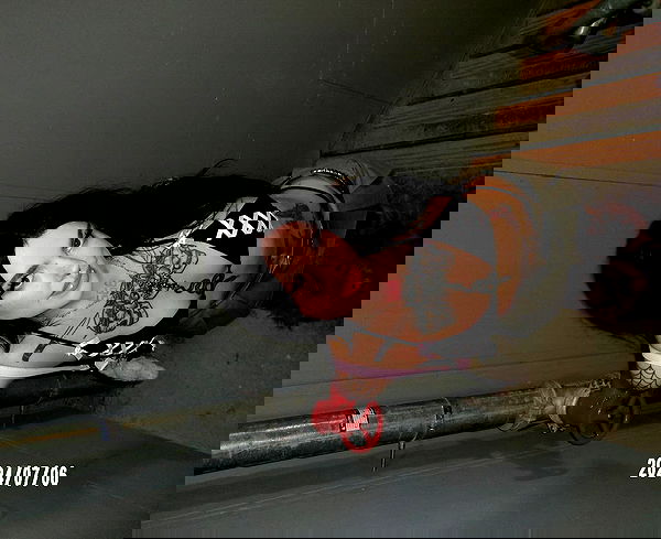 jtilb image ~ Altpins