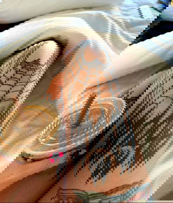 jtilb image ~ Altpins