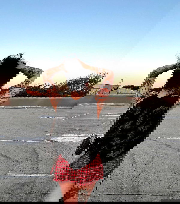 jtilb image ~ Altpins